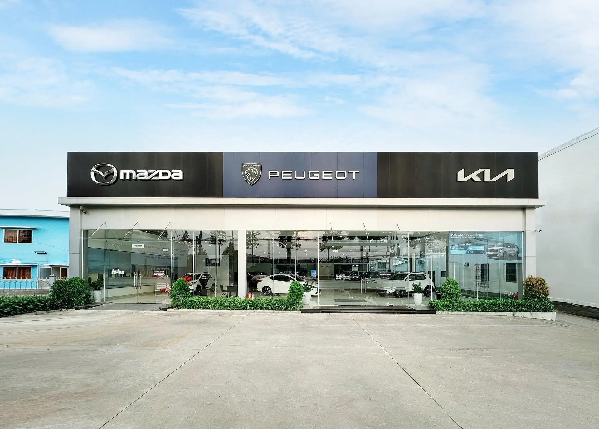SHOWROOM KIA, MAZDA, PEUGEOT BẾN TRE